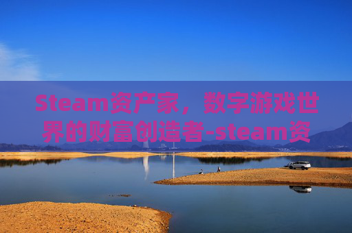 Steam资产家，数字游戏世界的财富创造者-steam资产预设包