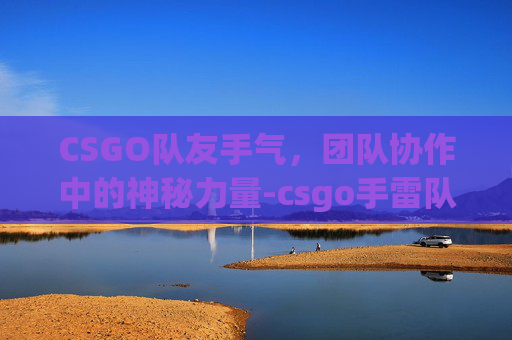 CSGO队友手气，团队协作中的神秘力量-csgo手雷队友伤害