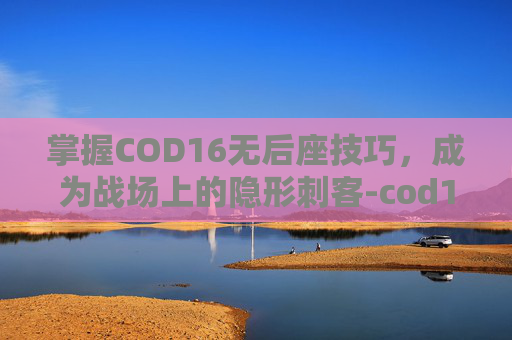 掌握COD16无后座技巧，成为战场上的隐形刺客-cod16后坐力稳定和后坐力控制