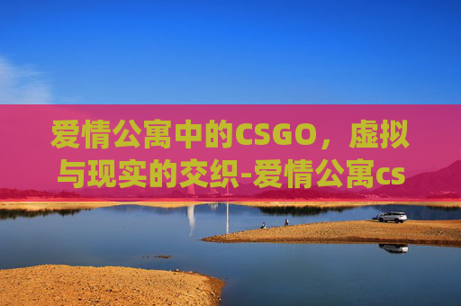 爱情公寓中的CSGO，虚拟与现实的交织-爱情公寓csgo表情包