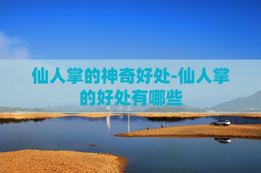仙人掌的神奇好处-仙人掌的好处有哪些