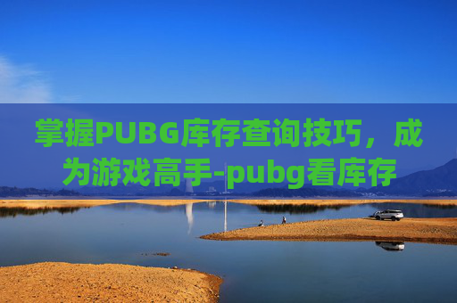 掌握PUBG库存查询技巧，成为游戏高手-pubg看库存
