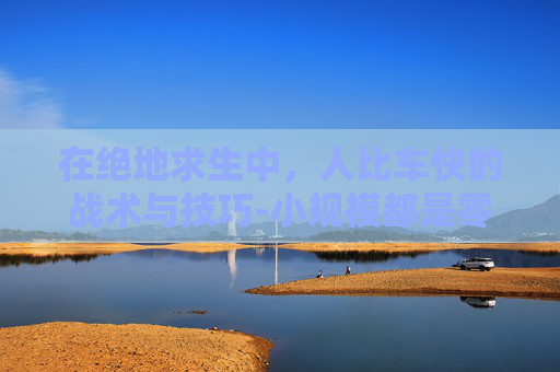 在绝地求生中，人比车快的战术与技巧-小规模都是零申报吗