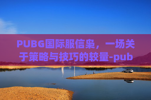 PUBG国际服信枭，一场关于策略与技巧的较量-pub据国际服