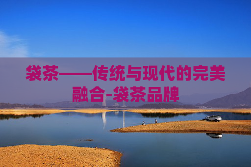 袋茶——传统与现代的完美融合-袋茶品牌