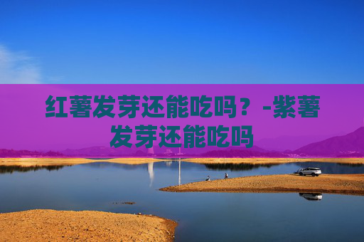 红薯发芽还能吃吗？-紫薯发芽还能吃吗