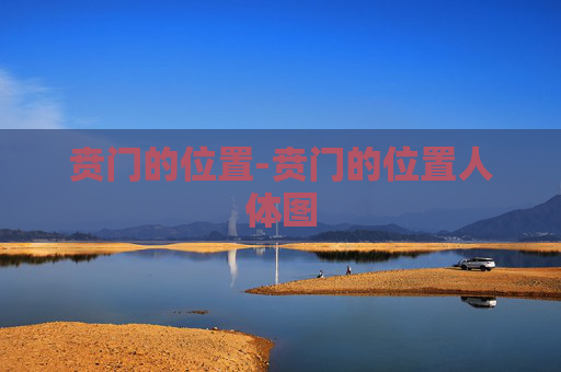 贲门的位置-贲门的位置人体图