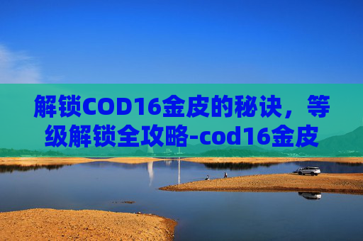 解锁COD16金皮的秘诀，等级解锁全攻略-cod16金皮是要全部解锁吗