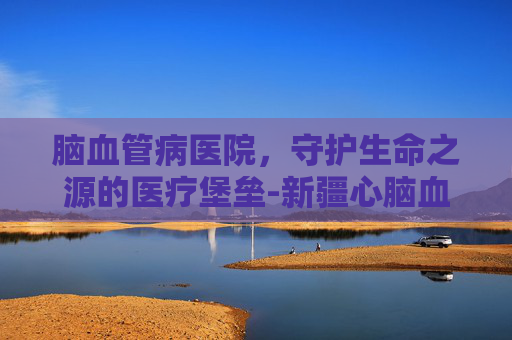 脑血管病医院，守护生命之源的医疗堡垒-新疆心脑血管病医院