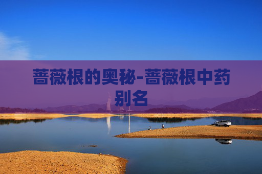 蔷薇根的奥秘-蔷薇根中药别名