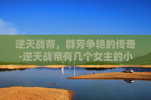 逆天战帝，群芳争艳的传奇-逆天战帝有几个女主的小说叫什么