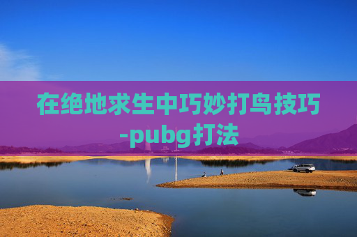在绝地求生中巧妙打鸟技巧-pubg打法