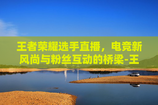 王者荣耀选手直播，电竞新风尚与粉丝互动的桥梁-王者荣耀选手直播不见了
