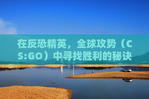 在反恐精英，全球攻势（CS:GO）中寻找胜利的秘诀-