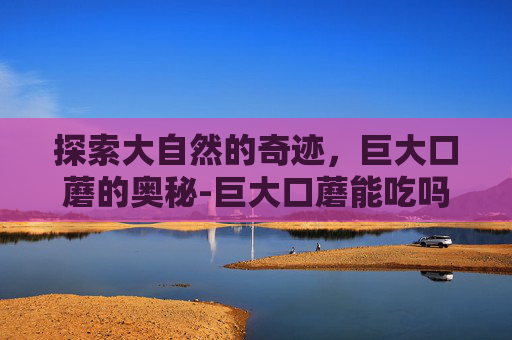 探索大自然的奇迹，巨大口蘑的奥秘-巨大口蘑能吃吗