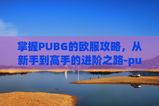掌握PUBG的欧服攻略，从新手到高手的进阶之路-pubg怎么打欧美服