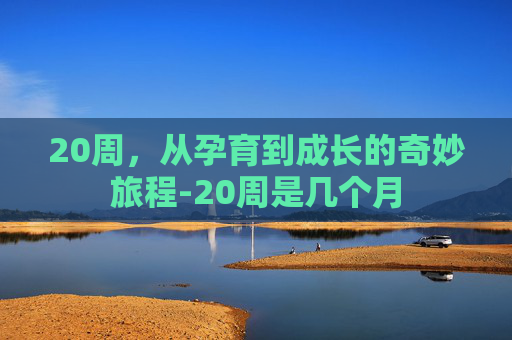 20周，从孕育到成长的奇妙旅程-20周是几个月