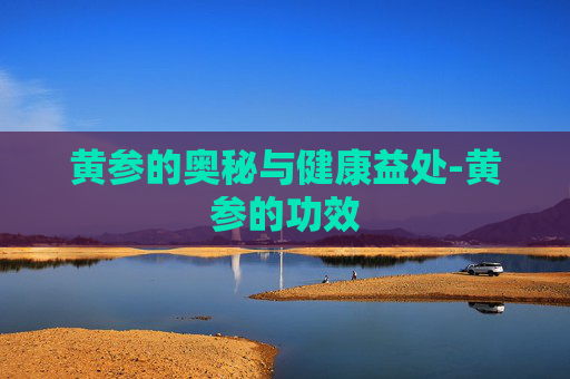 黄参的奥秘与健康益处-黄参的功效