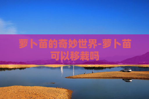 萝卜苗的奇妙世界-萝卜苗可以移栽吗