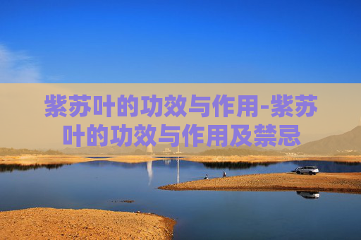 紫苏叶的功效与作用-紫苏叶的功效与作用及禁忌