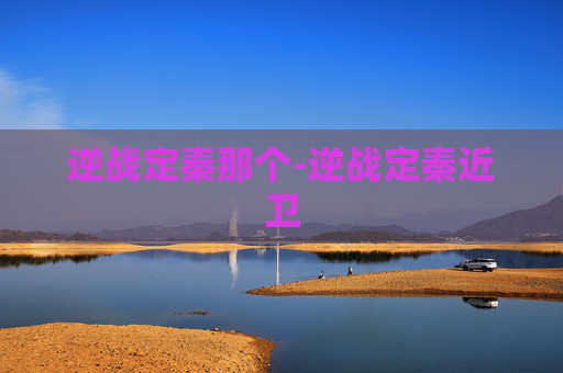 逆战定秦那个-逆战定秦近卫