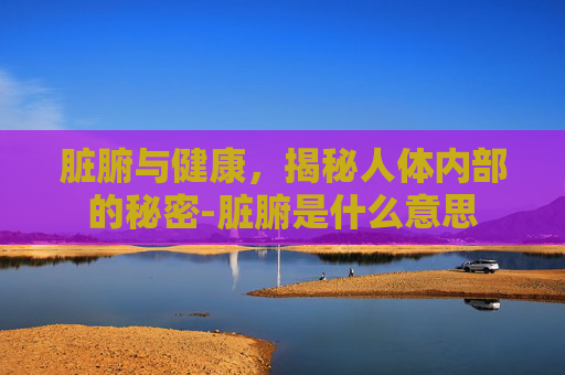 脏腑与健康，揭秘人体内部的秘密-脏腑是什么意思