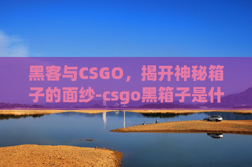 黑客与CSGO，揭开神秘箱子的面纱-csgo黑箱子是什么