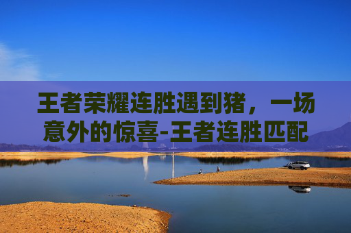王者荣耀连胜遇到猪，一场意外的惊喜-王者连胜匹配会打断吗