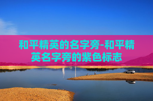 和平精英的名字旁-和平精英名字旁的紫色标志