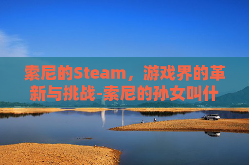 索尼的Steam，游戏界的革新与挑战-索尼的孙女叫什么