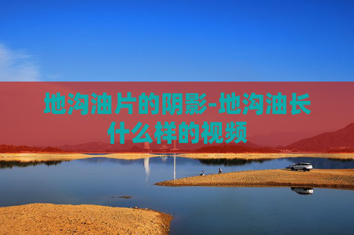地沟油片的阴影-地沟油长什么样的视频