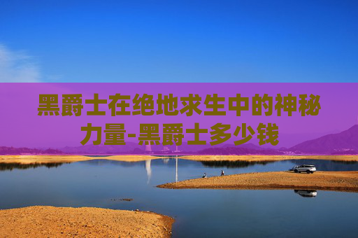 黑爵士在绝地求生中的神秘力量-黑爵士多少钱