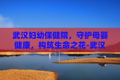武汉妇幼保健院，守护母婴健康，构筑生命之花-武汉妇幼保健院电话
