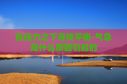 在压力之下寻找平衡-气急是什么原因引起的