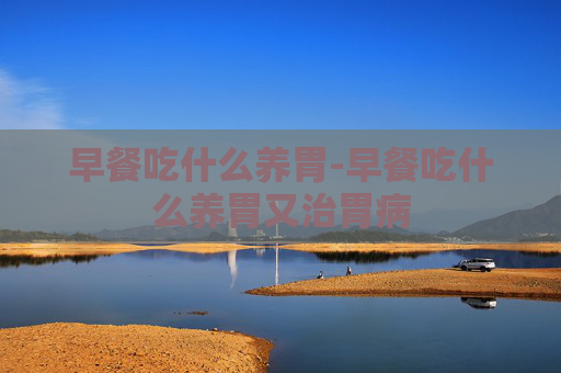 早餐吃什么养胃-早餐吃什么养胃又治胃病