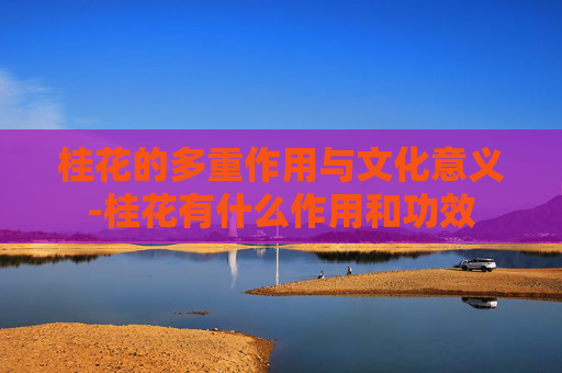 桂花的多重作用与文化意义-桂花有什么作用和功效 桂花的多重作用与文化意义-桂花有什么作用和功效