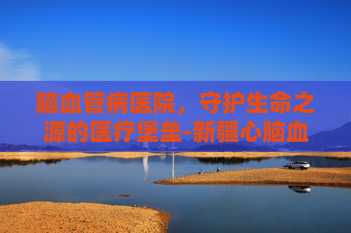 脑血管病医院，守护生命之源的医疗堡垒-新疆心脑血管病医院