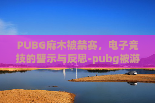 PUBG麻木被禁赛，电子竞技的警示与反思-pubg被游戏封禁了怎么办