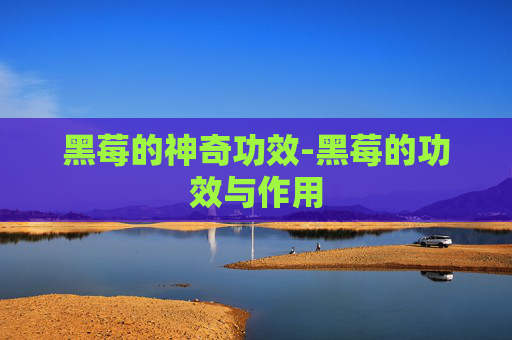 黑莓的神奇功效-黑莓的功效与作用