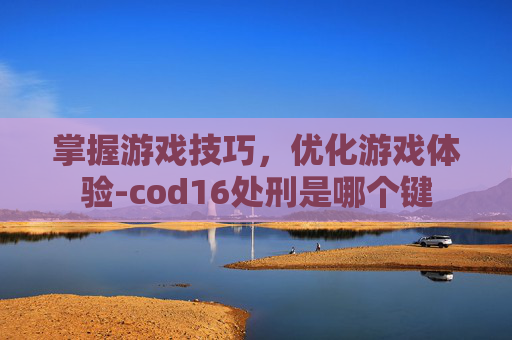 掌握游戏技巧，优化游戏体验-cod16处刑是哪个键