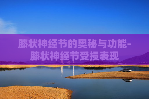 膝状神经节的奥秘与功能-膝状神经节受损表现