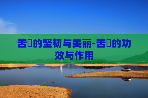 苦蘵的坚韧与美丽-苦蘵的功效与作用