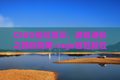 CSGO排位显示，游戏进阶之路的指南-csgo官匹段位怎么不显示