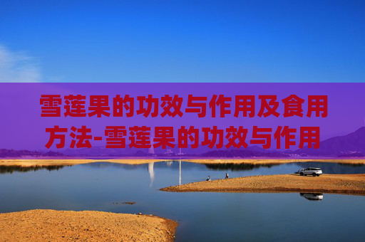 雪莲果的功效与作用及食用方法-雪莲果的功效与作用及食用方法_图片介绍! 雪莲果的功效与作用及食用方法-雪莲果的功效与作用及食用方法_图片介绍!