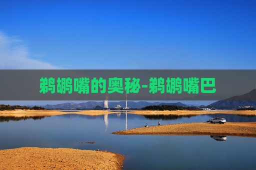 鹈鹕嘴的奥秘-鹈鹕嘴巴 鹈鹕嘴的奥秘-鹈鹕嘴巴