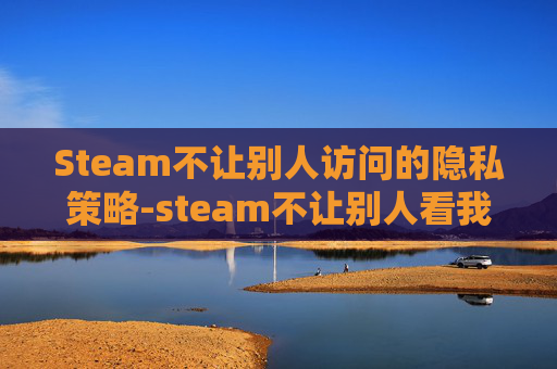 Steam不让别人访问的隐私策略-steam不让别人看我库存