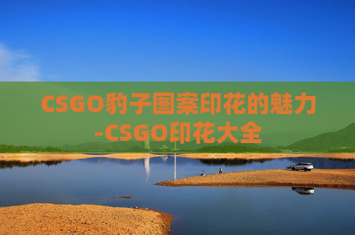 CSGO豹子图案印花的魅力-CSGO印花大全