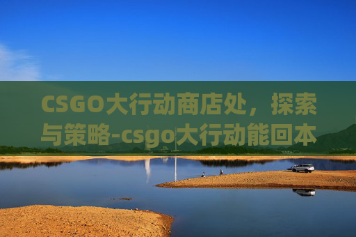 CSGO大行动商店处，探索与策略-csgo大行动能回本吗