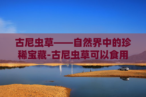 古尼虫草——自然界中的珍稀宝藏-古尼虫草可以食用吗
