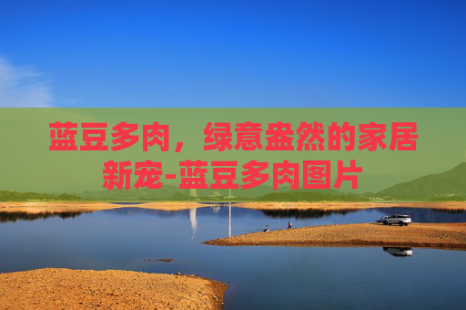 蓝豆多肉，绿意盎然的家居新宠-蓝豆多肉图片